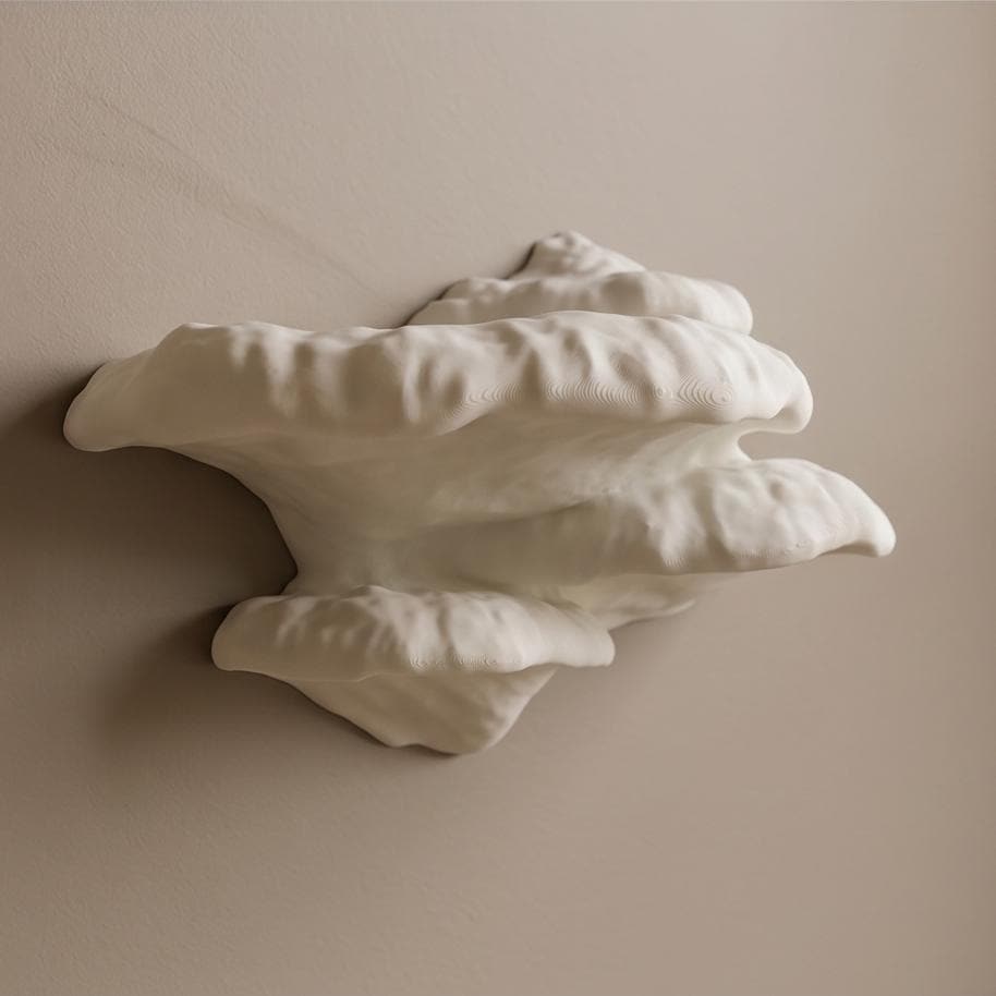 Gazzaladra Unique Wall Shelf Pinicula for Party, Living Room, Bedroom
