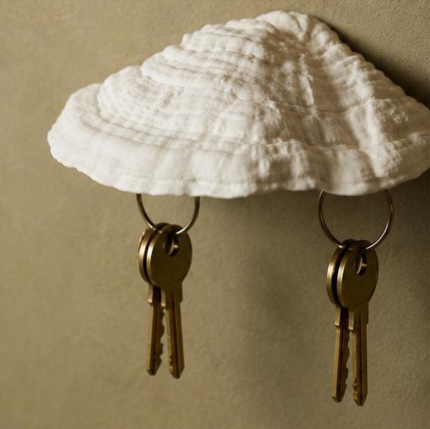 Gazzaladra Carnosum Fungus Magnetic Key Holder for Party, Living Room, Bedroom