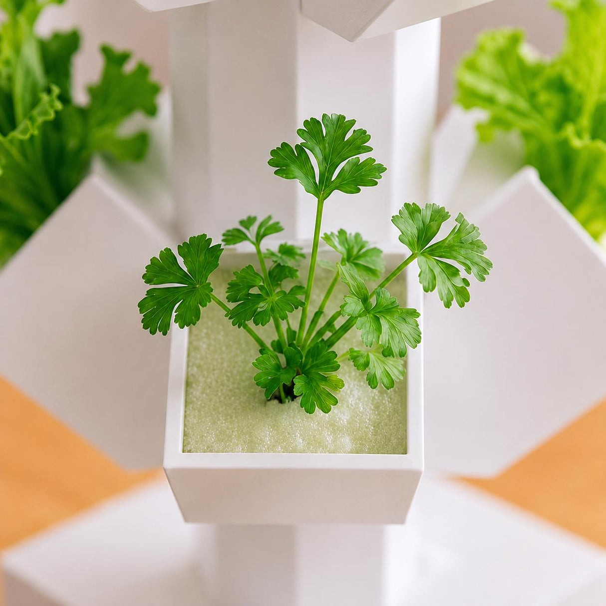 LV 3D Mini Stackable Hydroponic System | Desktop Indoor Garden | 3D Printed Hydroponic Planter | Modern Plant Grow Kit