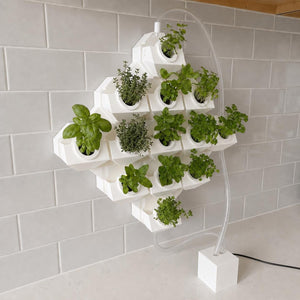 Garden Accessories