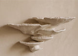 Gazzaladra Unique Wall shelf Interior Decor “Ostrea Fungus” for Party, Living Room, Bedroom