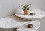 Gazzaladra Unique Wall shelf Interior Decor “Ostrea Fungus” for Party, Living Room, Bedroom