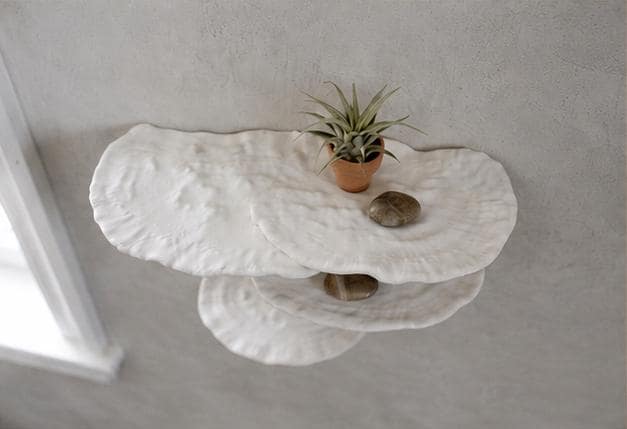 Gazzaladra Unique Wall shelf Interior Decor “Ostrea Fungus” for Party, Living Room, Bedroom
