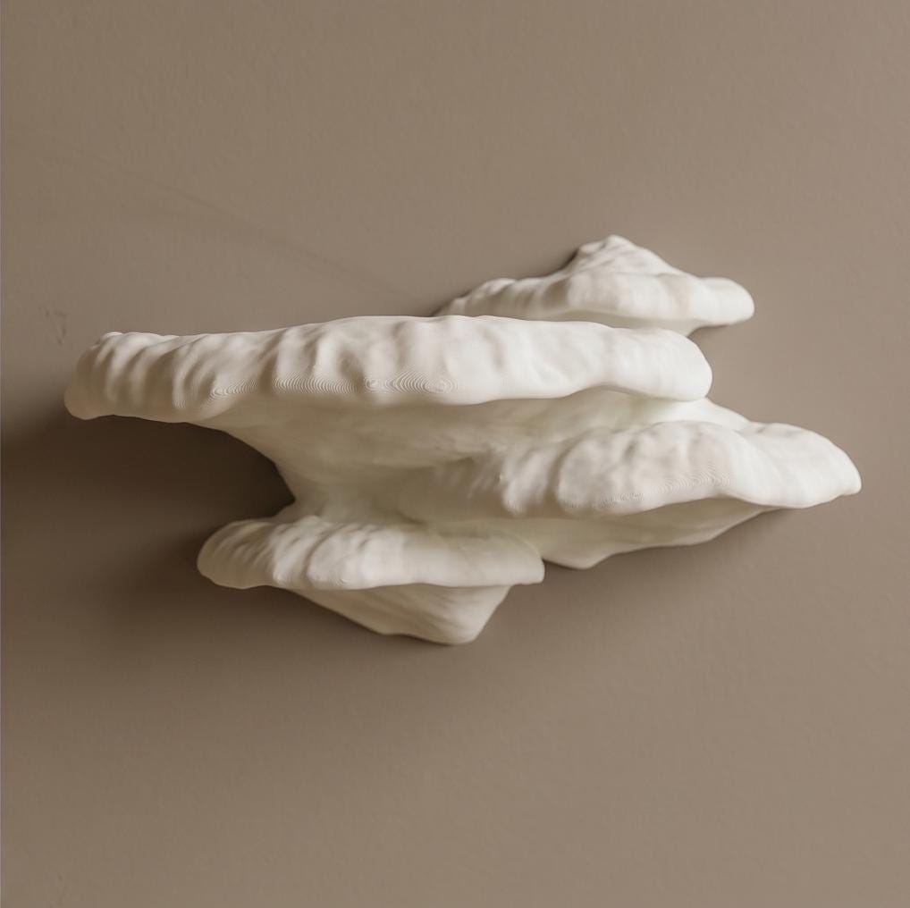 Gazzaladra Unique Wall Shelf Pinicula for Party, Living Room, Bedroom