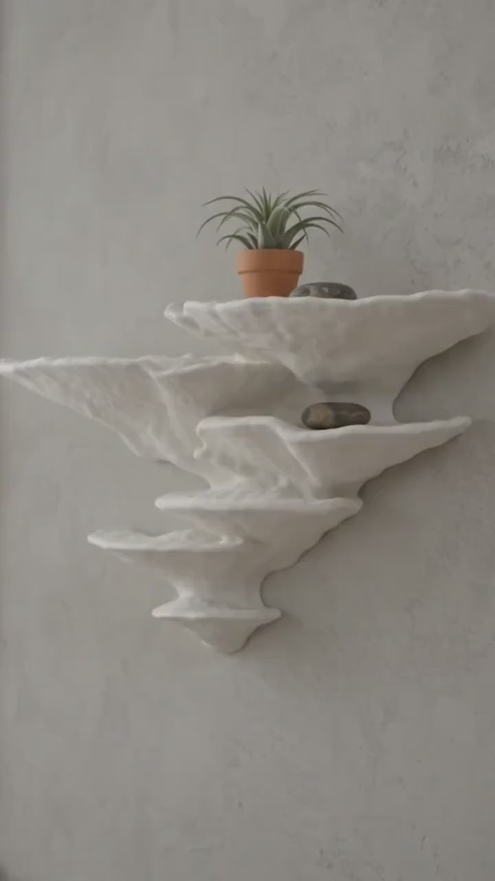 Gazzaladra Unique Wall shelf Interior Decor “Ostrea Fungus” for Party, Living Room, Bedroom