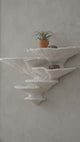 Gazzaladra Unique Wall shelf Interior Decor “Ostrea Fungus” for Party, Living Room, Bedroom