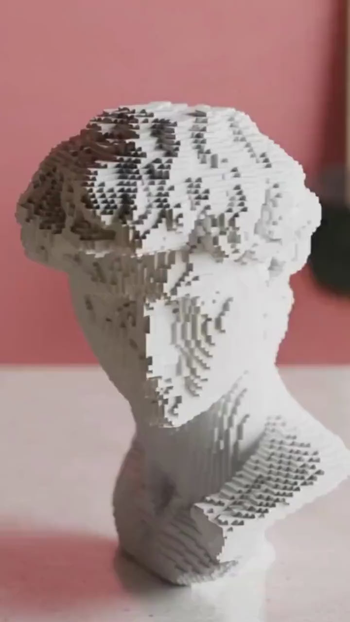 CollectiCraft Pixel David Vase, Modern Classical Sculpture Vase, Artistic Statue Flower Vase Decor