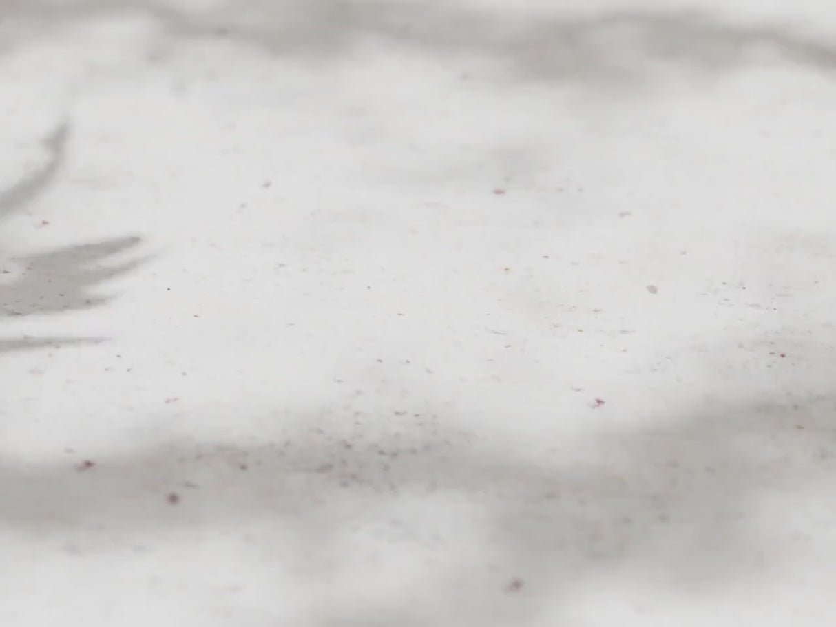 Collecticraft Nobody - Yoga | Namaste Gifts | Yoga Gifts | Yogi Gifta | ANY SIZE!