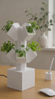 LV 3D Mini Stackable Hydroponic System | Desktop Indoor Garden | 3D Printed Hydroponic Planter | Modern Plant Grow Kit