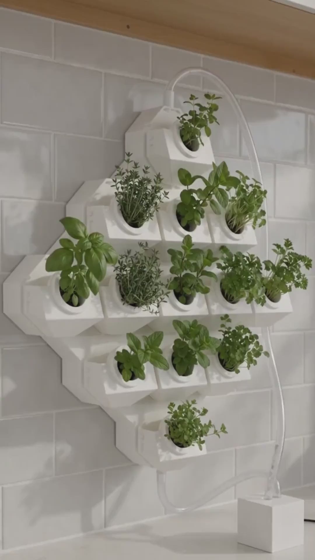LV 3D Modular Wall Mounted Hydroponic System | Expandable Indoor Herb Garden | Magnetic Vertical Planter Kit
