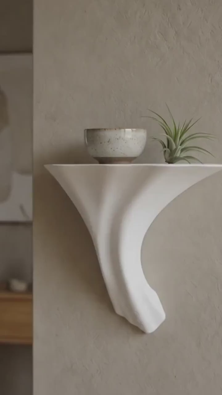 Gazzaladra Unique Wall shelf Interior Decor “Glow in the Dark Fungus Shelf” for Party, Living Room, Bedroom