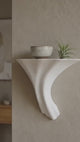 Gazzaladra Unique Wall shelf Interior Decor “Glow in the Dark Fungus Shelf” for Party, Living Room, Bedroom
